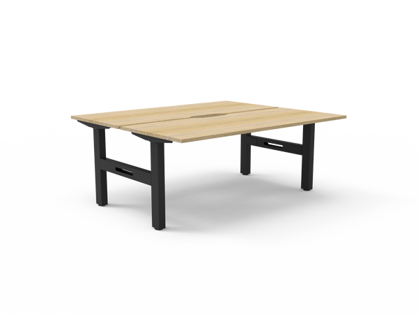 Boost Static Back to Back Workstation