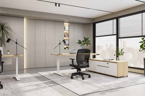 Halo Plus Executive Desk & Cabinet (Right Hand Side Cabinet)