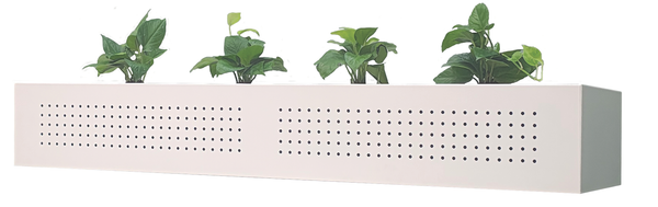 Steelco AEIR Steel Planter Box with 3 Pot Holes (225H x 900W x 450D)