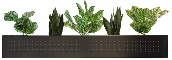 Steelco AEIR Steel Planter Box with 5 Pot Holes (225H x 1600W x 450D)